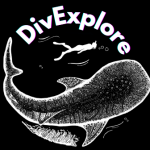 divexplore logo
