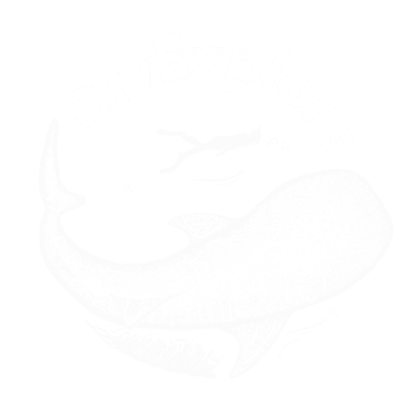 Divexplore-logo (1) (1)