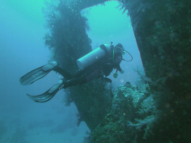 Diver boat swim through Egypt
