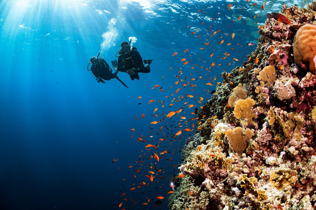 divers on the drop off